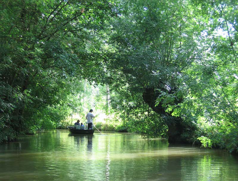 Agence Web Niort Marais Poitevin